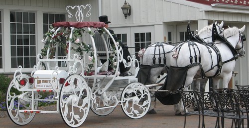 Cinderella Carriage